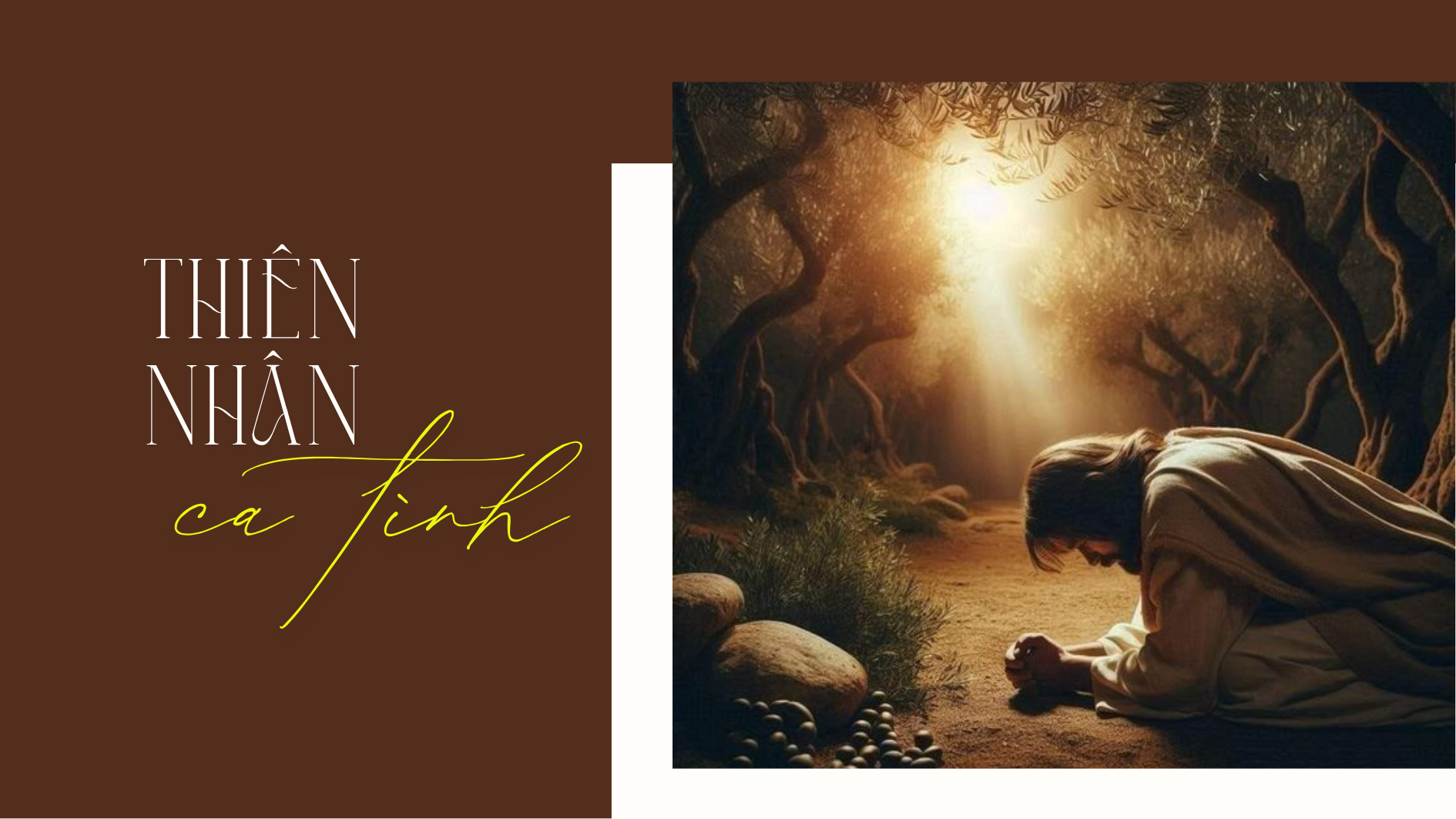 Thiên - nhân ca tình